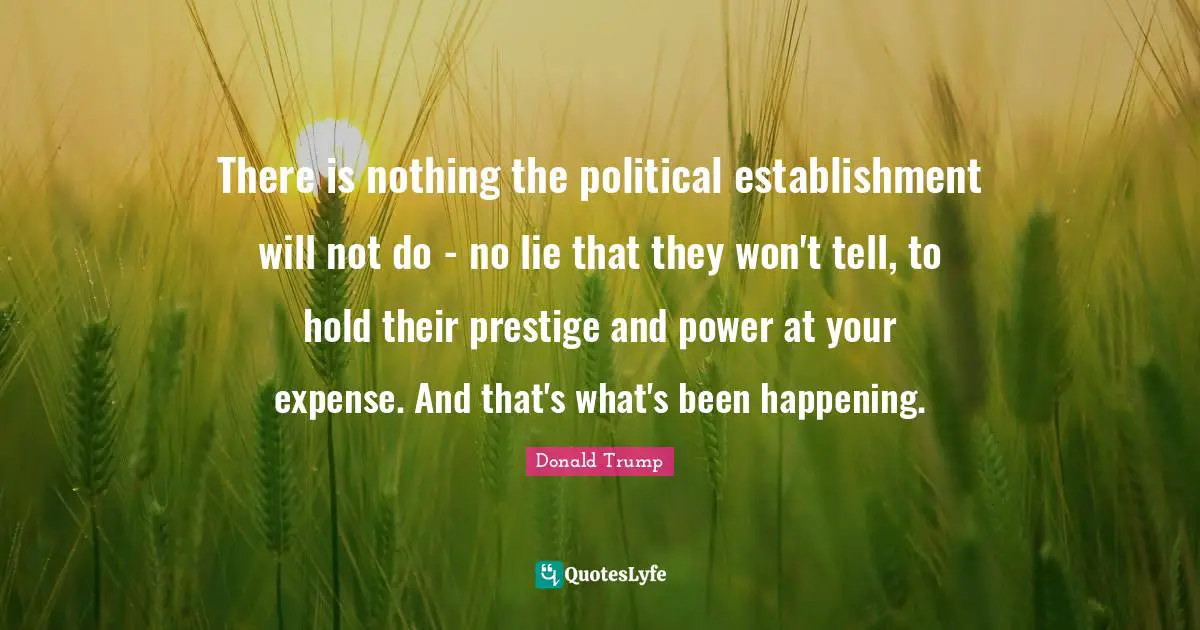There is nothing the political establishment will not do - no lie that they won't tell, to hold their prestige and power at your expense. And that's what's been happening.