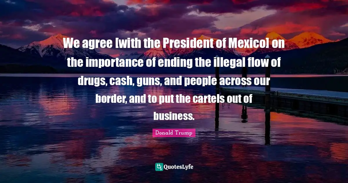 We agree [with the President of Mexico] on the importance of ending the illegal flow of drugs, cash, guns, and people across our border, and to put the cartels out of business.