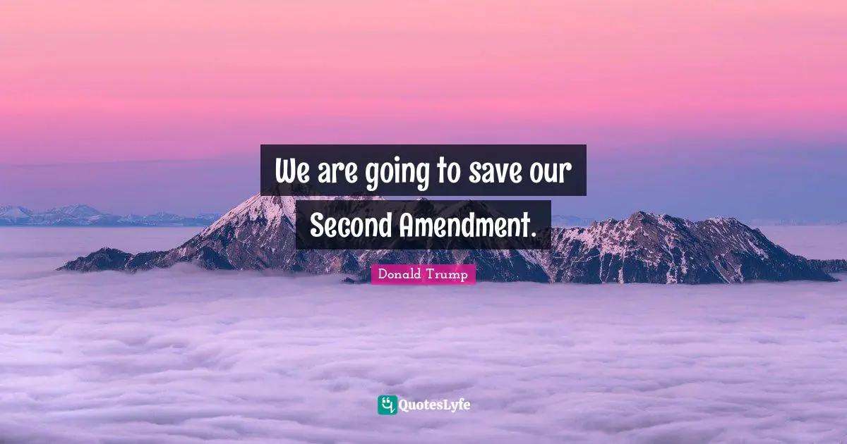 We are going to save our Second Amendment.