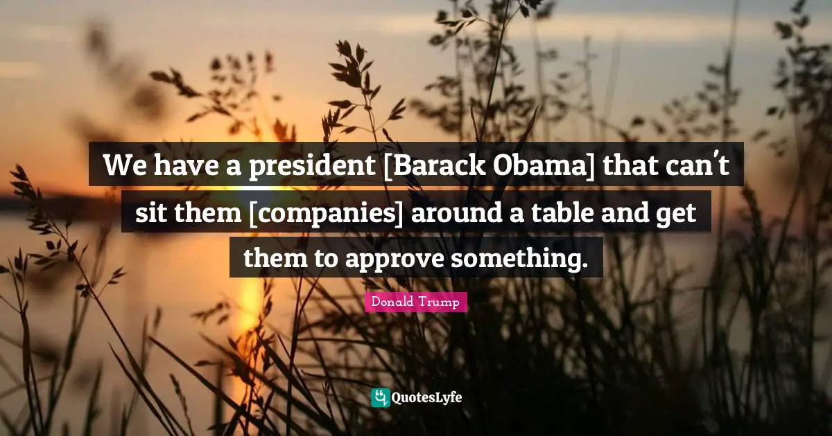 We have a president [Barack Obama] that can't sit them [companies] around a table and get them to approve something.