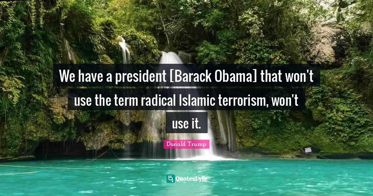 We have a president [Barack Obama] that won't use the term radical Islamic terrorism, won't use it.