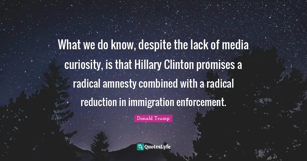 What we do know, despite the lack of media curiosity, is that Hillary Clinton promises a radical amnesty combined with a radical reduction in immigration enforcement.
