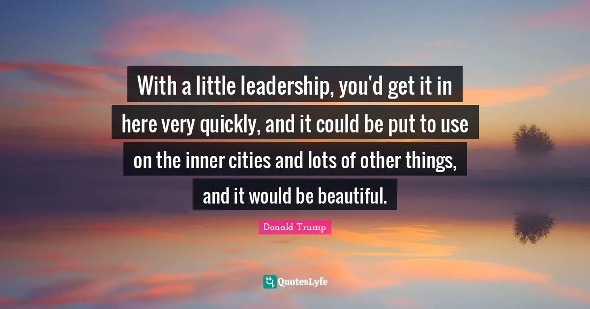 With a little leadership, you'd get it in here very quickly, and it could be put to use on the inner cities and lots of other things, and it would be beautiful.