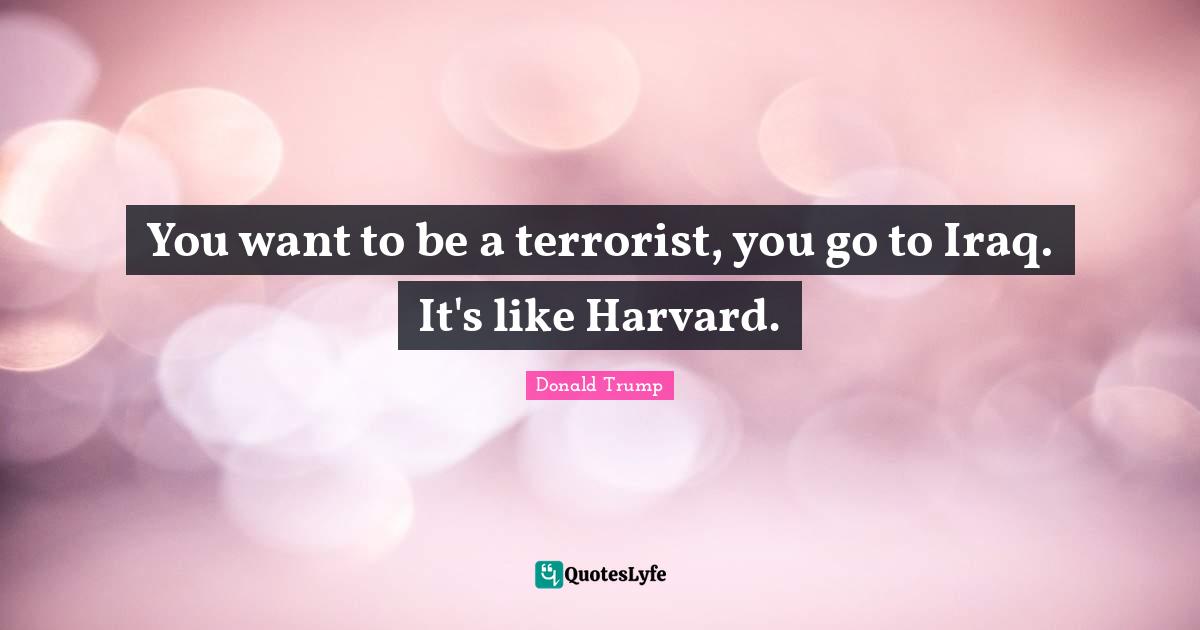 You want to be a terrorist, you go to Iraq. It's like Harvard.