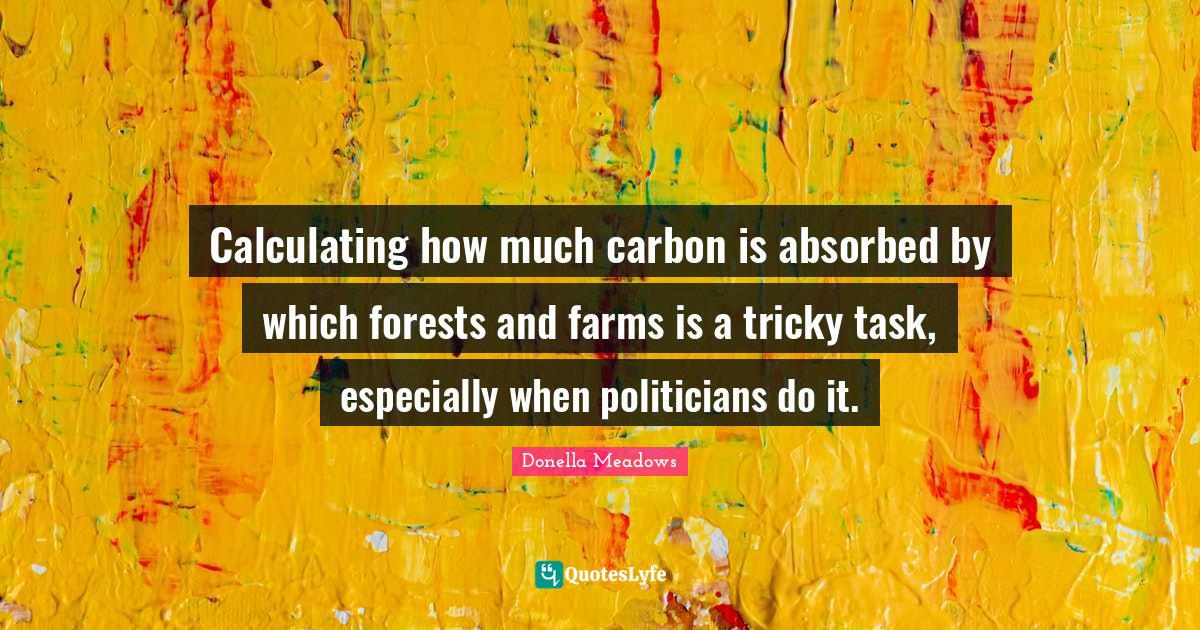 Calculating how much carbon is absorbed by which forests and farms is