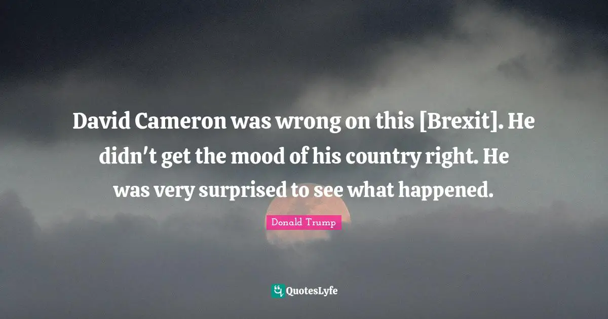 David Cameron was wrong on this [Brexit]. He didn't get the mood of his country right. He was very surprised to see what happened.