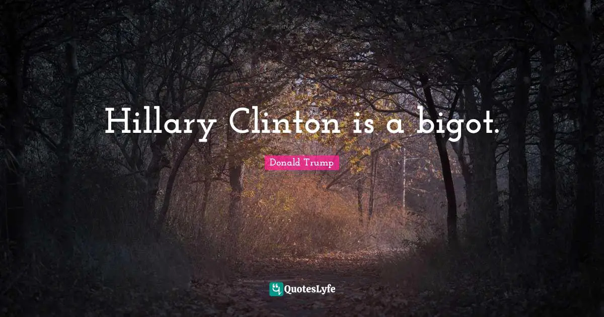 Hillary Clinton is a bigot.