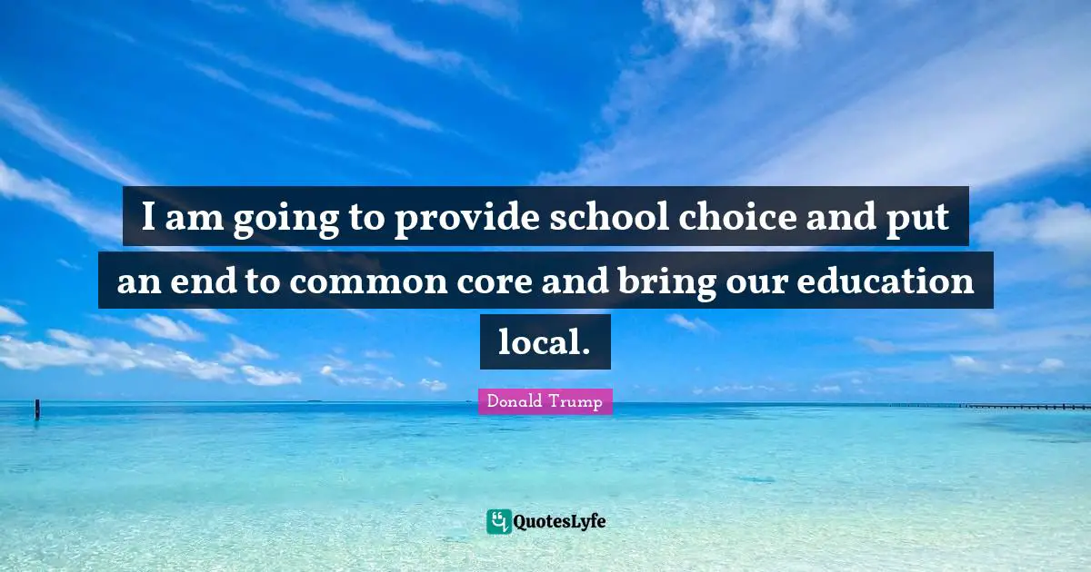 I am going to provide school choice and put an end to common core and bring our education local.