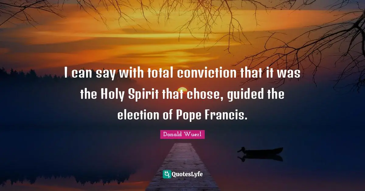 I can say with total conviction that it was the Holy Spirit that chose, guided the election of Pope Francis.