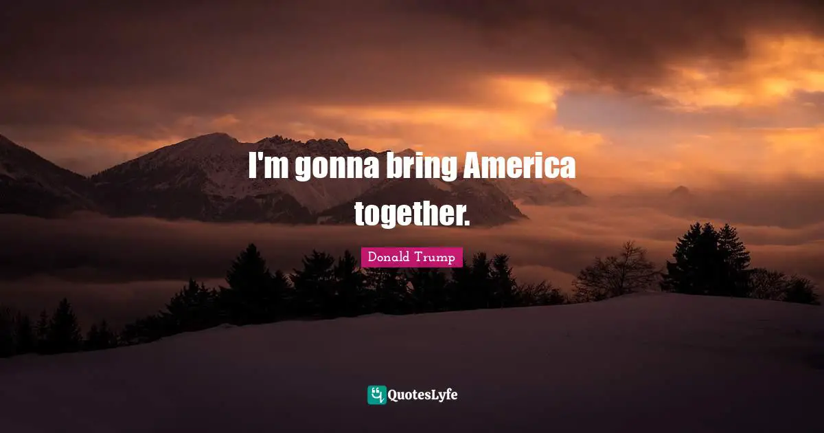I'm gonna bring America together.