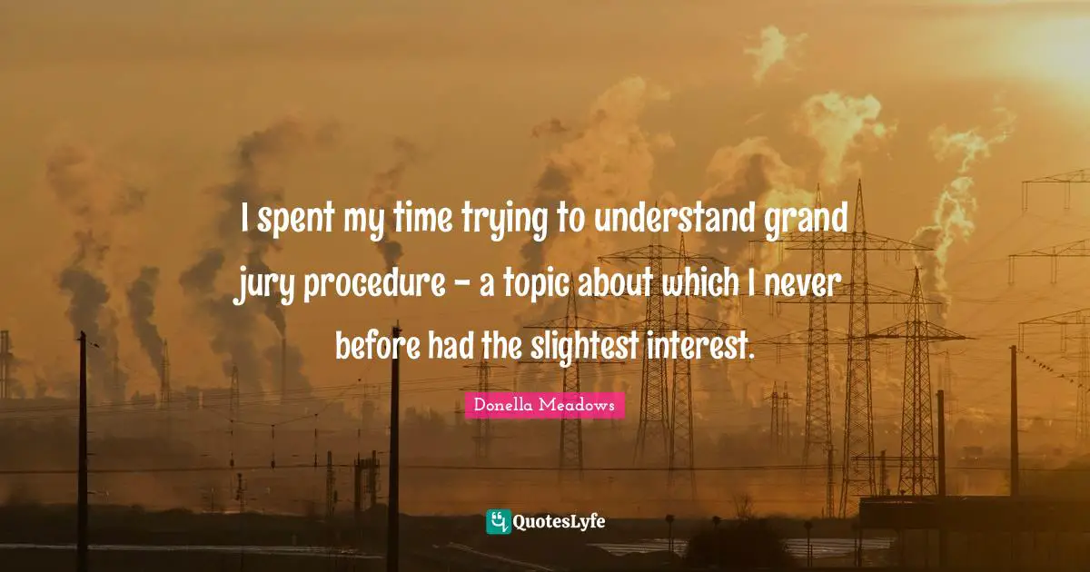 I spent my time trying to understand grand jury procedure - a topic about which I never before had the slightest interest.