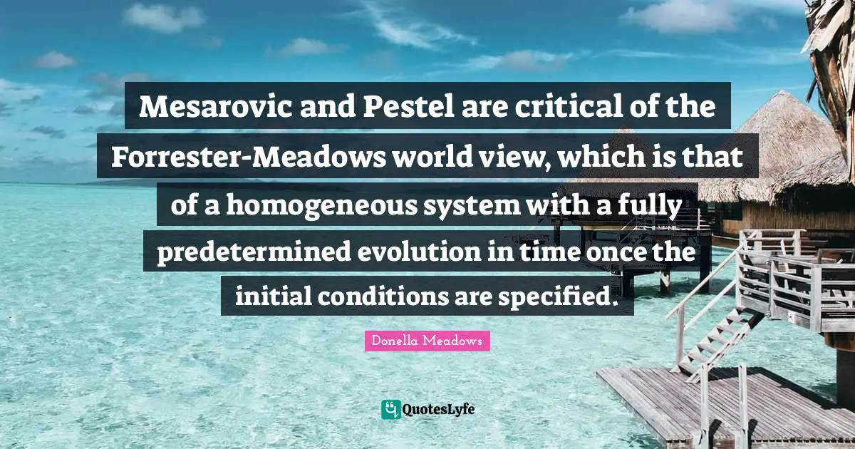 Mesarovic and Pestel are critical of the Forrester-Meadows world view, which is that of a homogeneous system with a fully predetermined evolution in time once the initial conditions are specified.