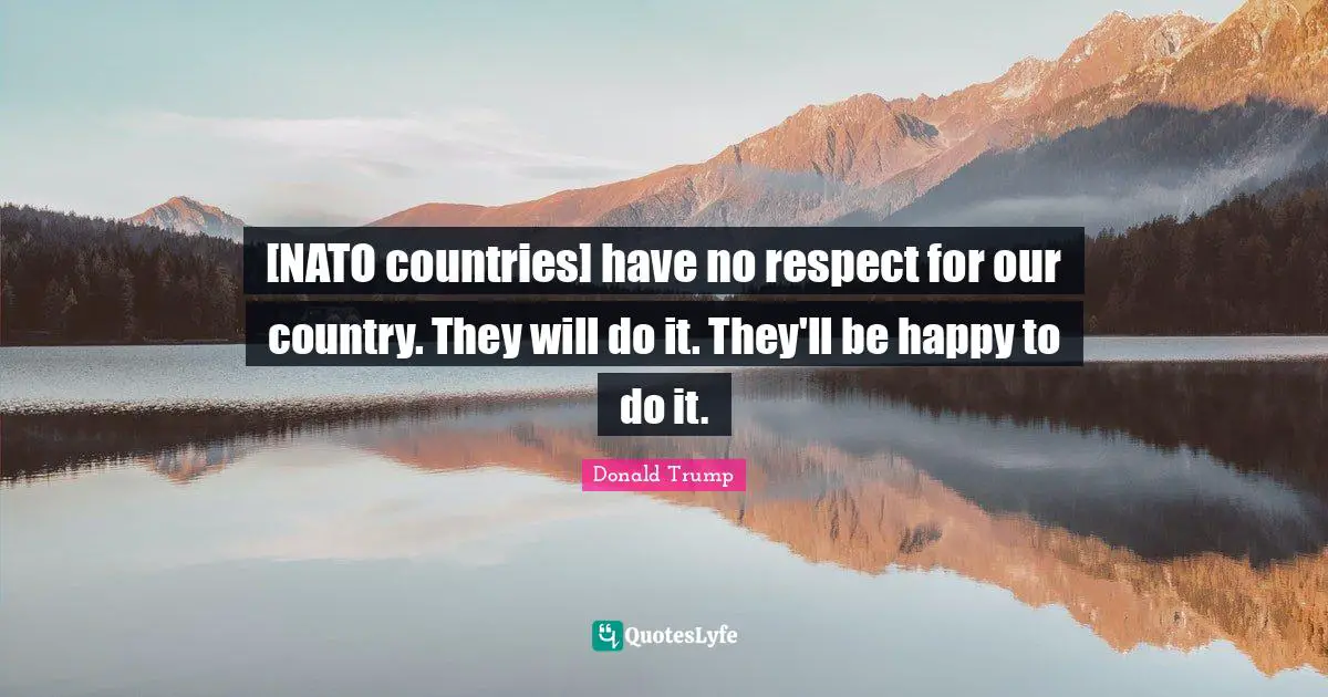 [NATO countries] have no respect for our country. They will do it. They'll be happy to do it.