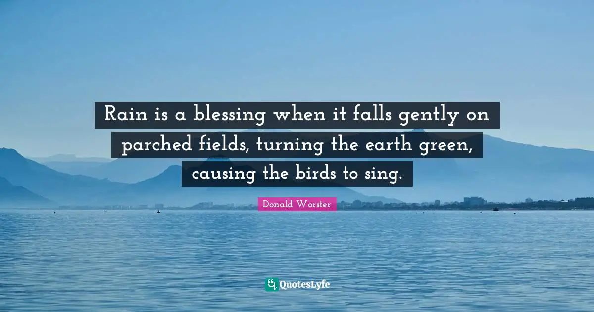 Rain is a blessing when it falls gently on parched fields, turning the earth green, causing the birds to sing.