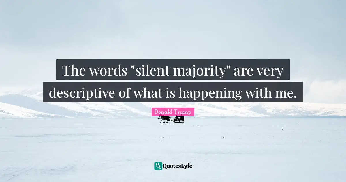 The words "silent majority" are very descriptive of what is happening with me.