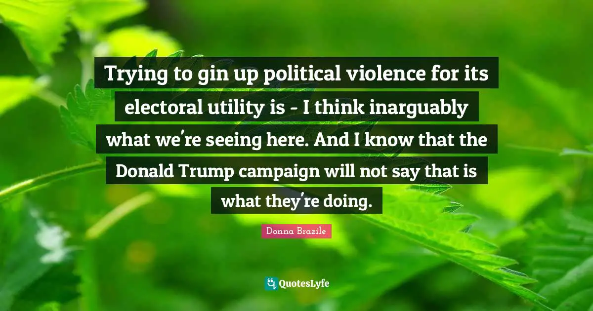 Trying to gin up political violence for its electoral utility is - I think inarguably what we're seeing here. And I know that the Donald Trump campaign will not say that is what they're doing.