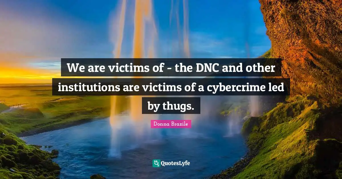 We are victims of - the DNC and other institutions are victims of a cybercrime led by thugs.