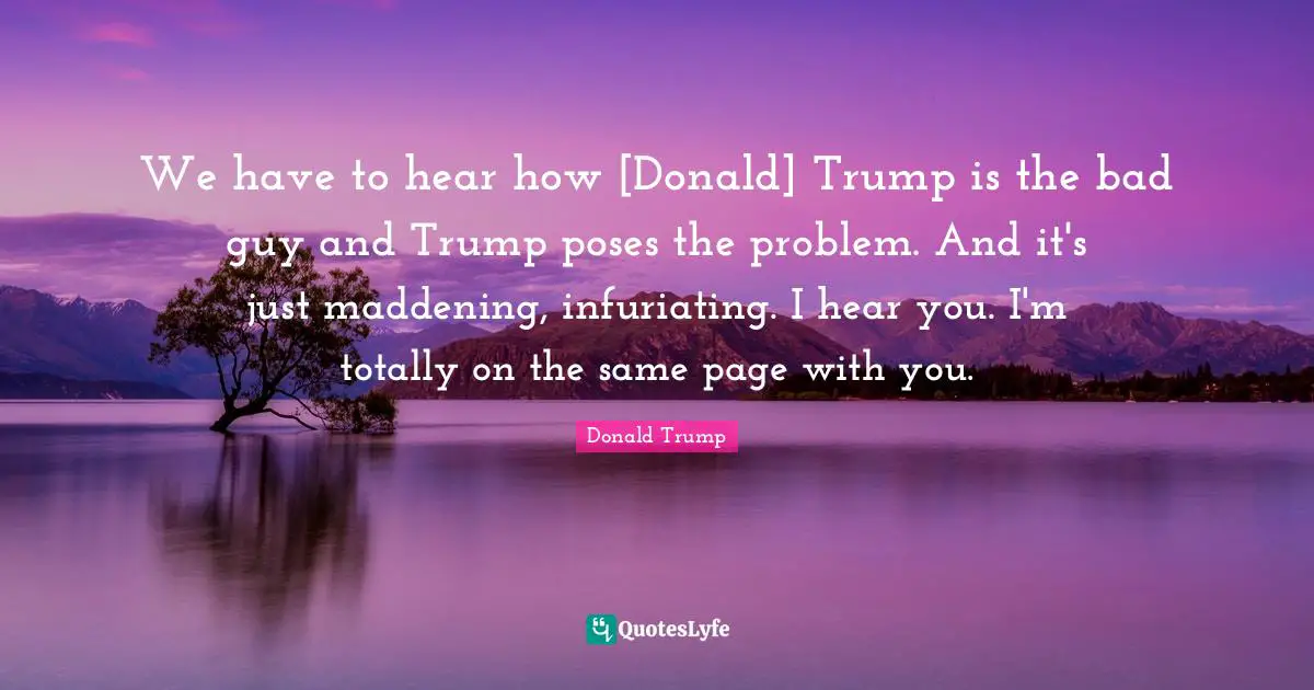 We have to hear how [Donald] Trump is the bad guy and Trump poses the problem. And it's just maddening, infuriating. I hear you. I'm totally on the same page with you.