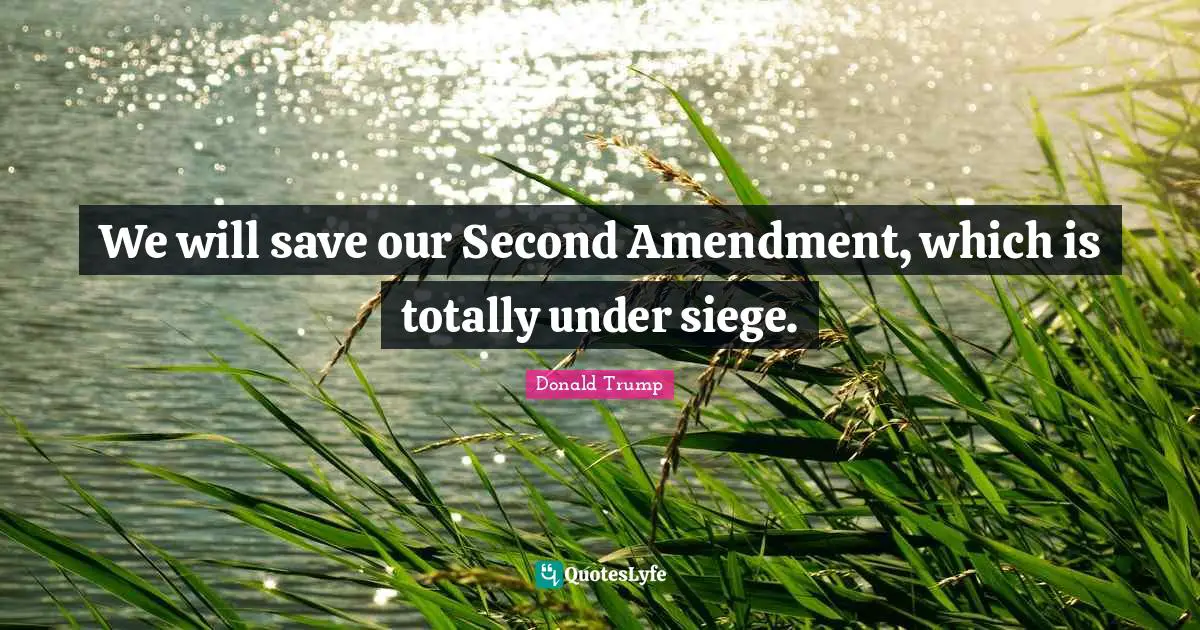 We will save our Second Amendment, which is totally under siege.