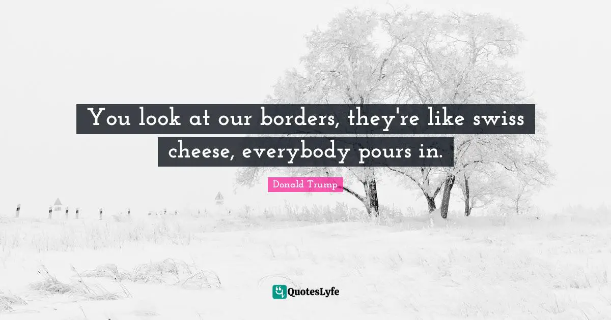 You look at our borders, they're like swiss cheese, everybody pours in.