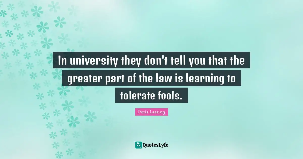 In university they don't tell you that the greater part of the law is learning to tolerate fools.