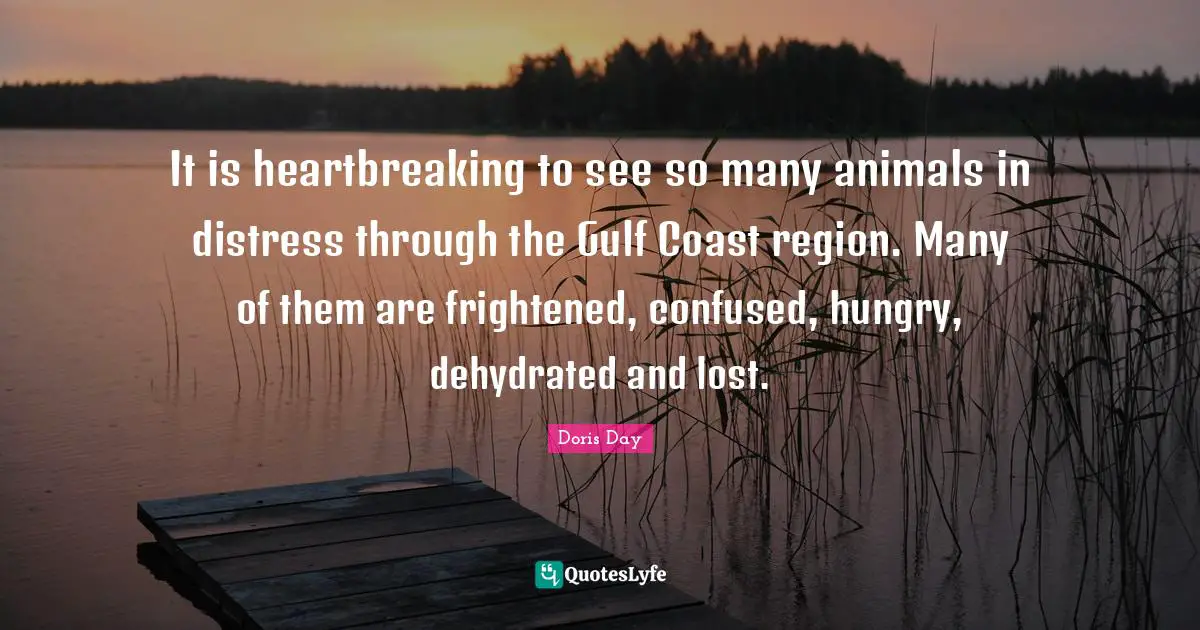 Heartbreaking Quotes: "It is heartbreaking to see so many animals in distress through the Gulf Coast region. Many of them are frightened, confused, hungry, dehydrated and lost."