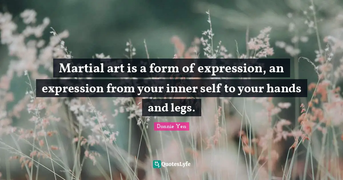Martial art is a form of expression, an expression from your inner self to your hands and legs.