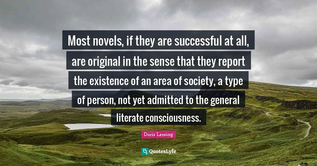 Most novels, if they are successful at all, are original in the sense that they report the existence of an area of society, a type of person, not yet admitted to the general literate consciousness.