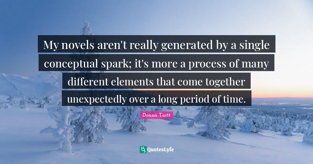 My novels aren't really generated by a single conceptual spark; it's more a process of many different elements that come together unexpectedly over a long period of time.