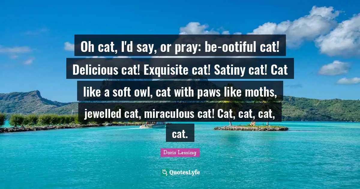 Oh cat, I'd say, or pray: be-ootiful cat! Delicious cat! Exquisite cat! Satiny cat! Cat like a soft owl, cat with paws like moths, jewelled cat, miraculous cat! Cat, cat, cat, cat.