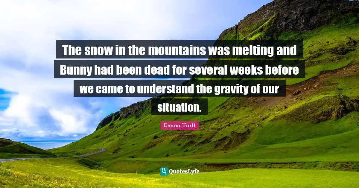 The snow in the mountains was melting and Bunny had been dead for several weeks before we came to understand the gravity of our situation.