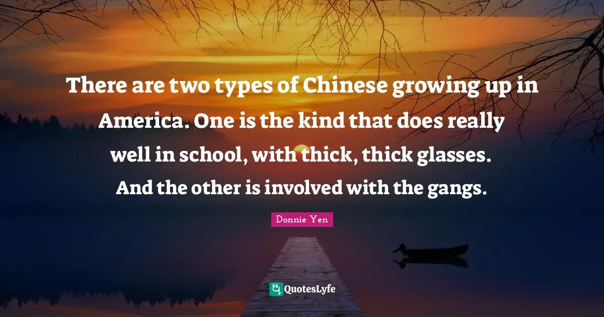 There are two types of Chinese growing up in America. One is the kind that does really well in school, with thick, thick glasses. And the other is involved with the gangs.