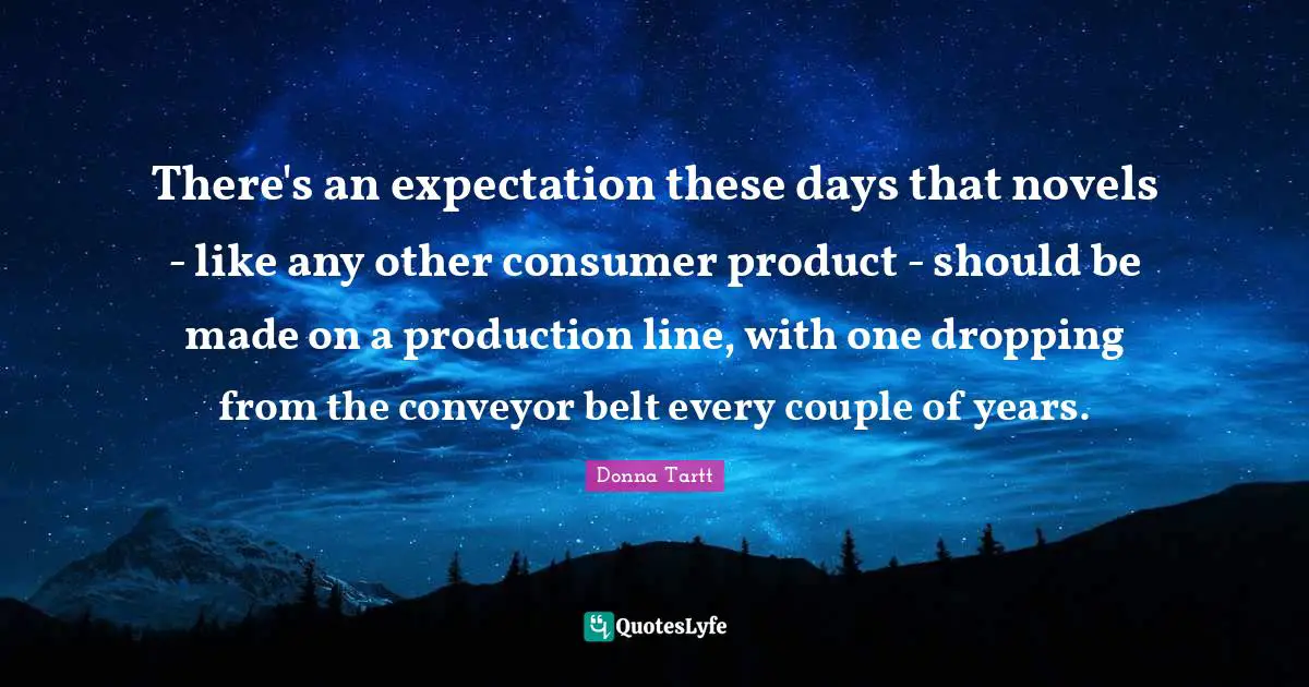 There's an expectation these days that novels - like any other consumer product - should be made on a production line, with one dropping from the conveyor belt every couple of years.