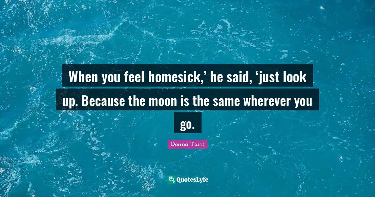 When you feel homesick,’ he said, ‘just look up. Because the moon is the same wherever you go.