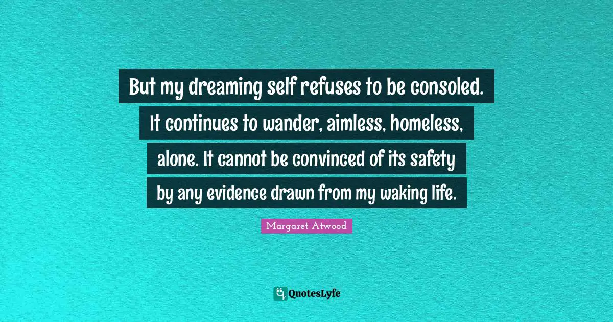 But my dreaming self refuses to be consoled. It continues to wander, aimless, homeless, alone. It cannot be convinced of its safety by any evidence drawn from my waking life.