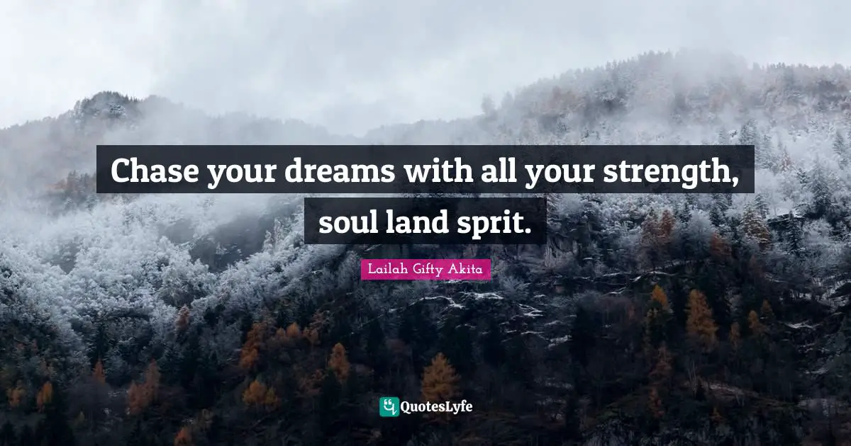 Chase your dreams with all your strength, soul land sprit.