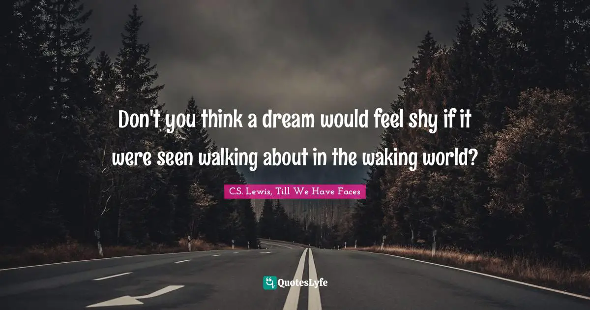 Don't you think a dream would feel shy if it were seen walking about in the waking world?