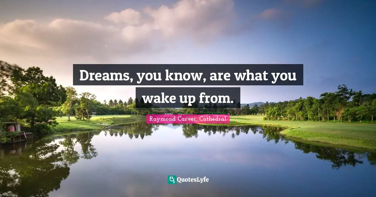 Dreams, you know, are what you wake up from.