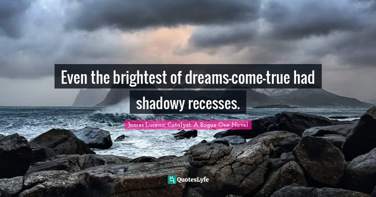Even the brightest of dreams-come-true had shadowy recesses.