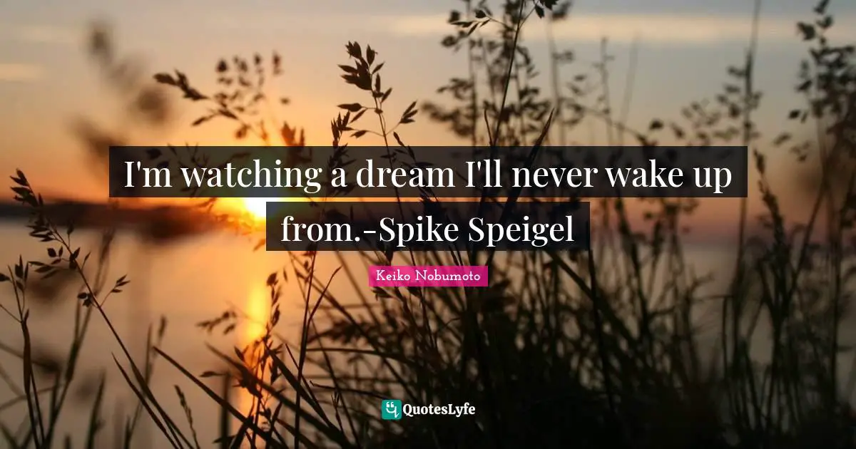 I'm watching a dream I'll never wake up from.-Spike Speigel