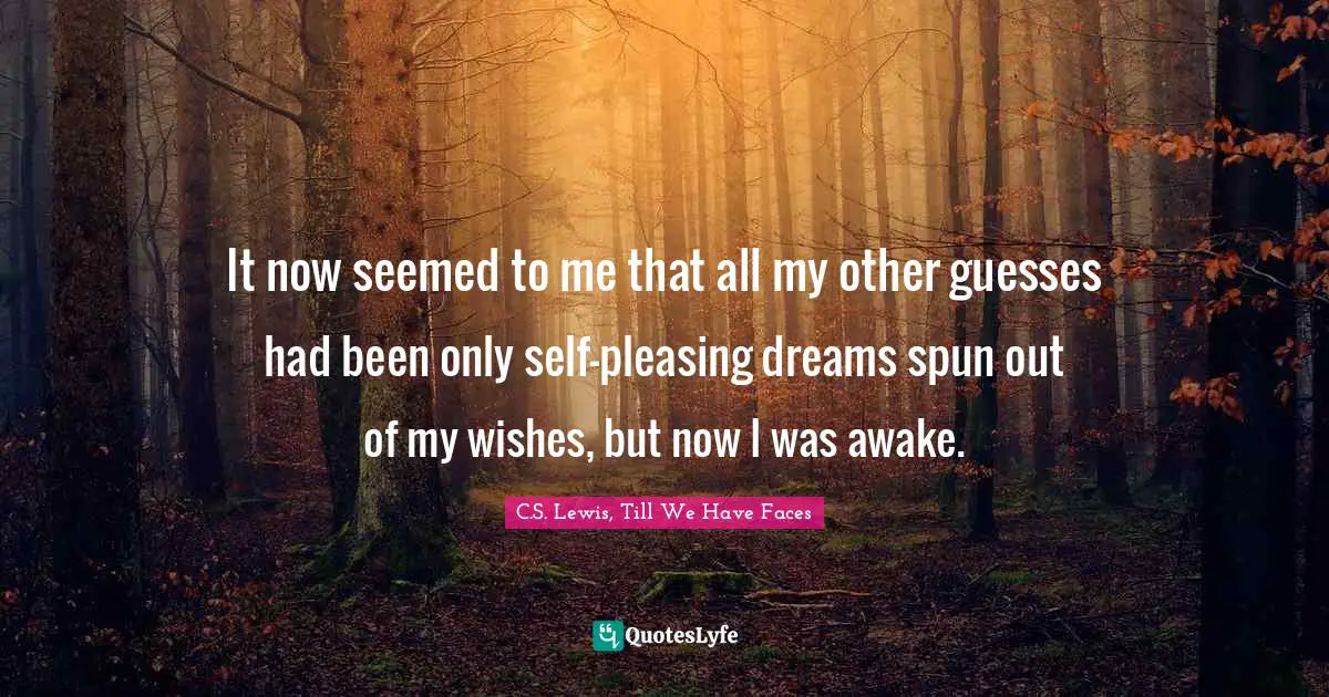 It now seemed to me that all my other guesses had been only self-pleasing dreams spun out of my wishes, but now I was awake.