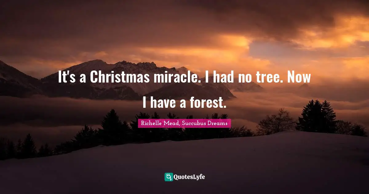 It's a Christmas miracle. I had no tree. Now I have a forest.