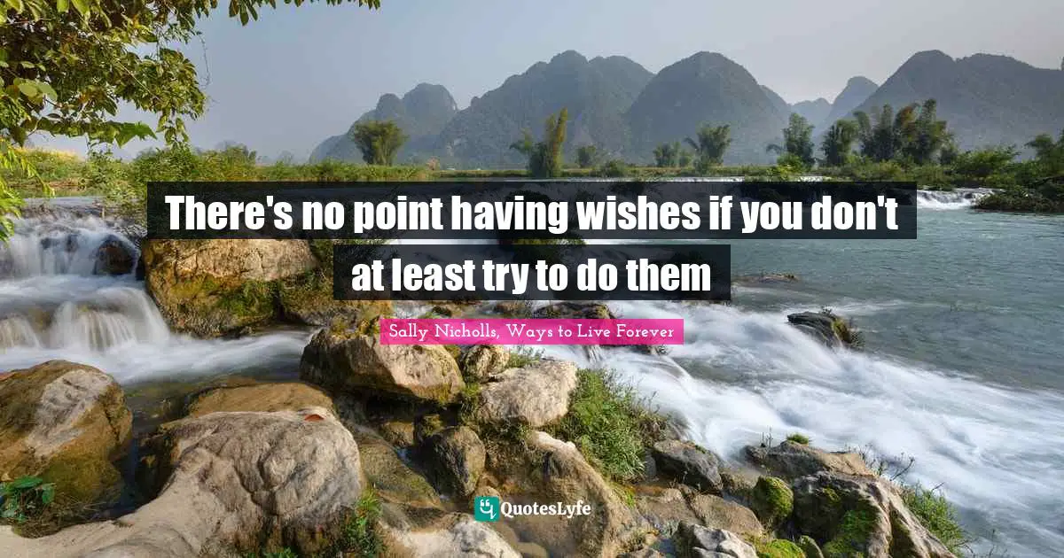 Wishes Quotes: "There's no point having wishes if you don't at least try to do them"