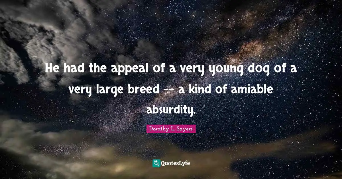 He had the appeal of a very young dog of a very large breed -- a kind of amiable absurdity.