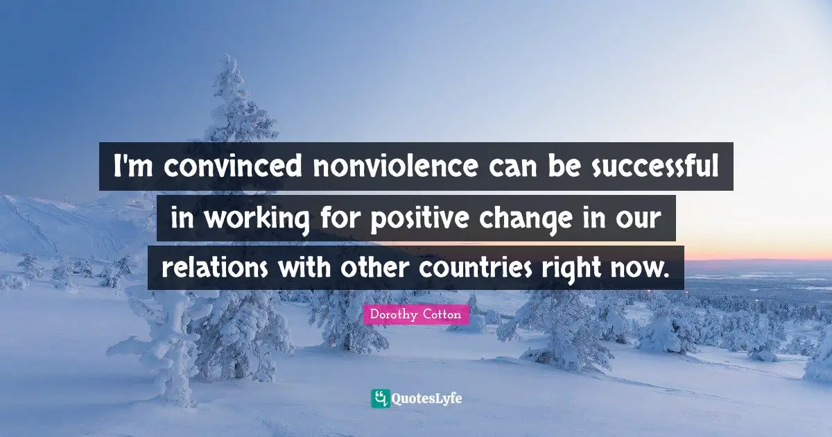 I'm convinced nonviolence can be successful in working for positive change in our relations with other countries right now.