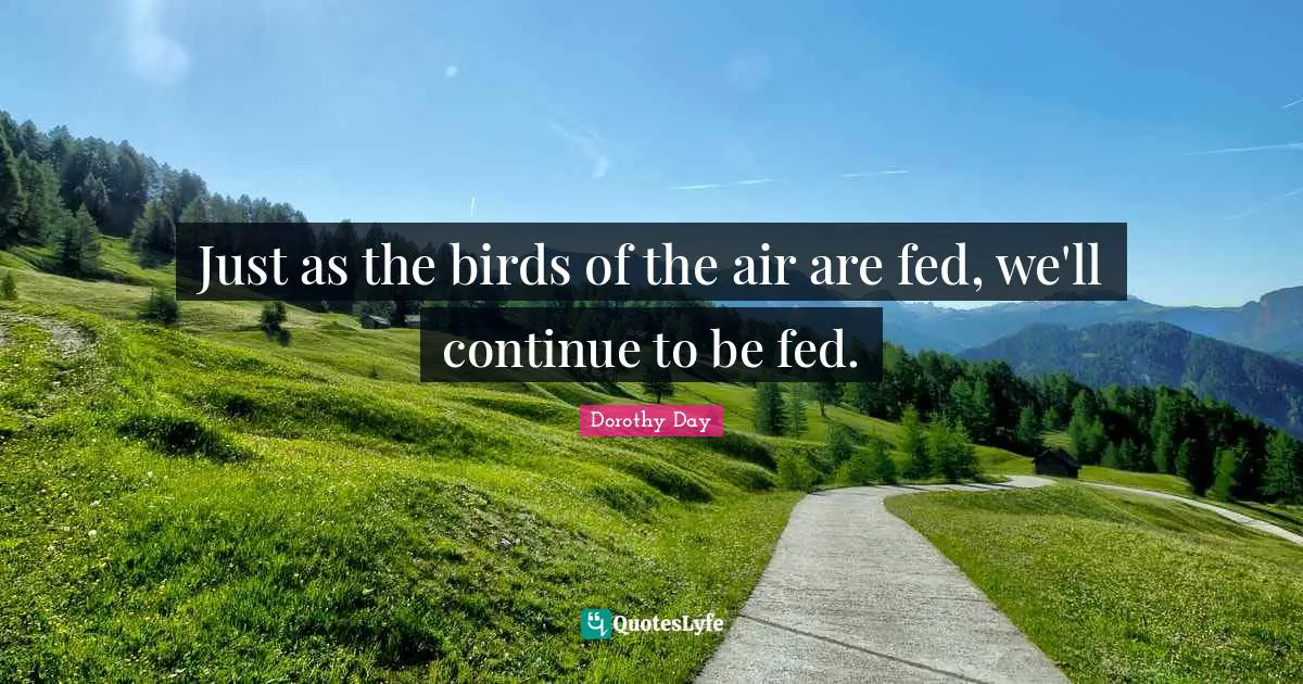 Just as the birds of the air are fed, we'll continue to be fed.
