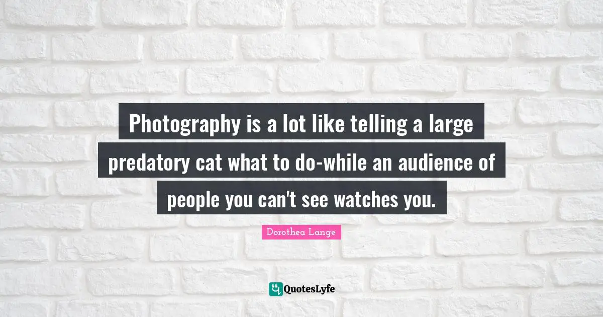 Dorothea Lange Quotes: "Photography is a lot like telling a large predatory cat what to do-while an audience of people you can't see watches you."