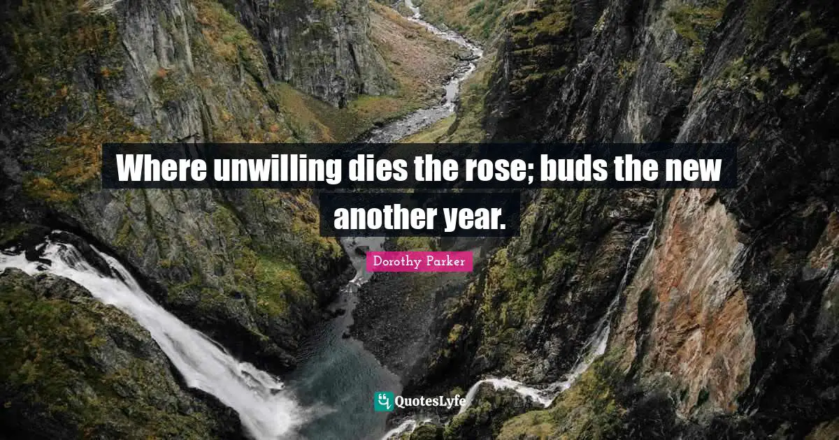 Another Year Quotes: "Where unwilling dies the rose; buds the new another year."