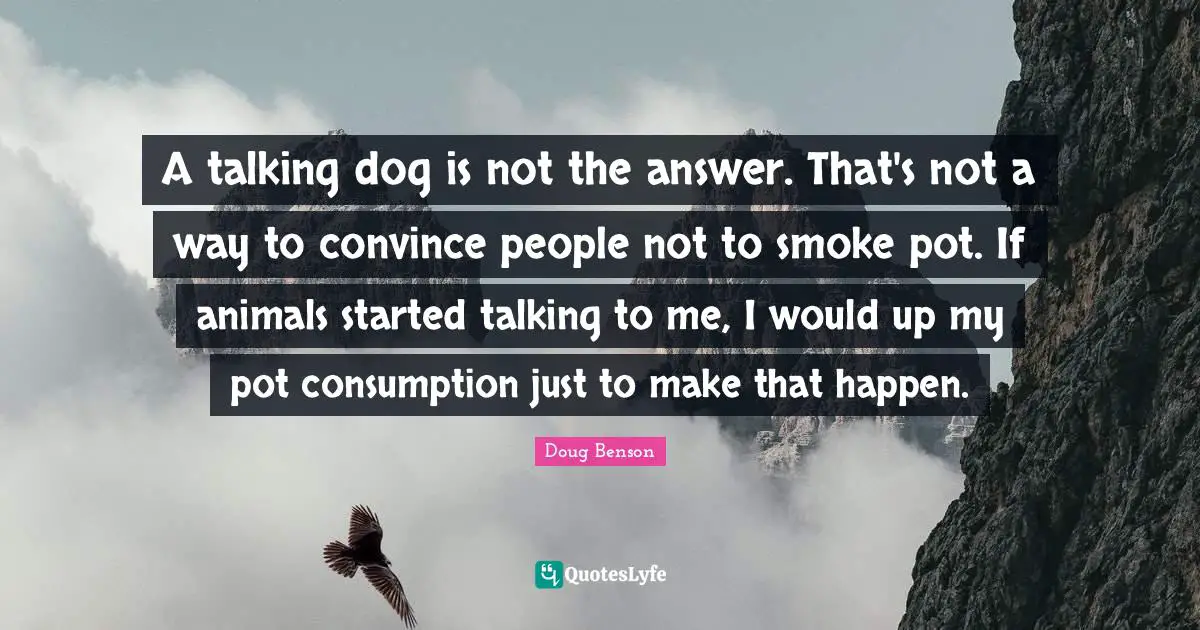 A talking dog is not the answer. That's not a way to convince people not to smoke pot. If animals started talking to me, I would up my pot consumption just to make that happen.