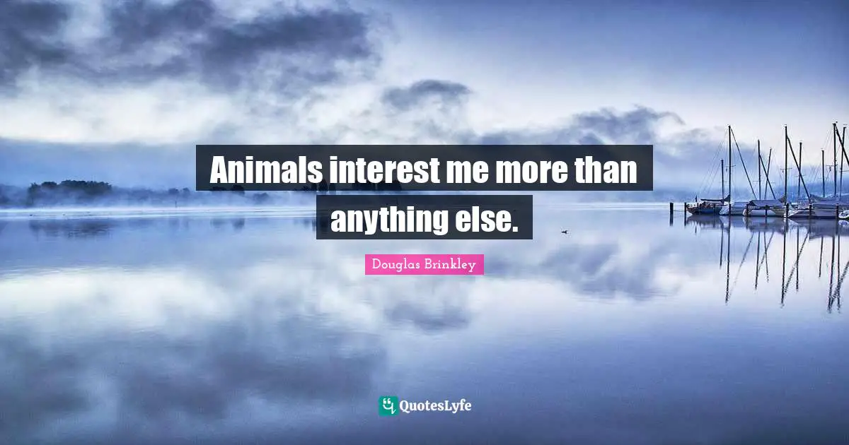 Animals interest me more than anything else.
